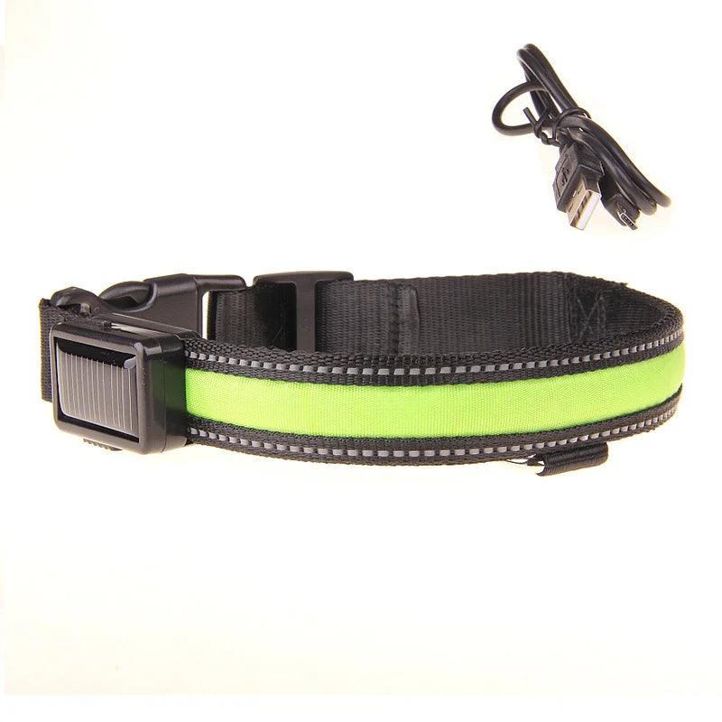 Solar Charging Led Dog Collar - whiskerwonderland