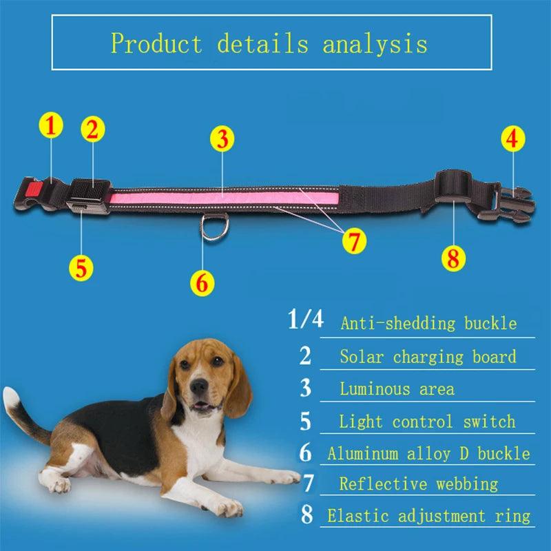 Solar Charging LED Dog Collar | Light-Up Dog Collar | whiskerwonderland