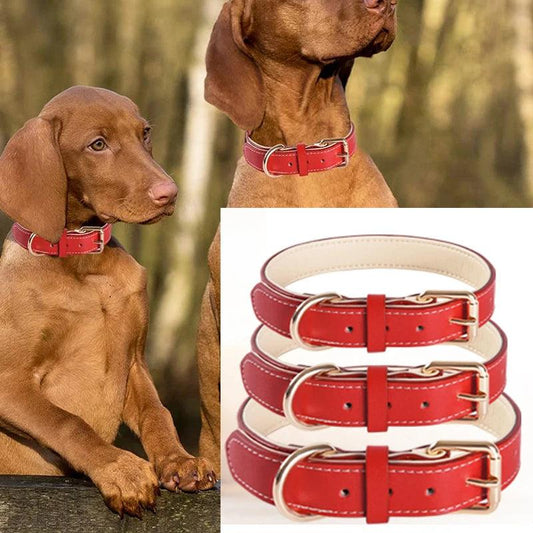 Dog Collar - whiskerwonderland