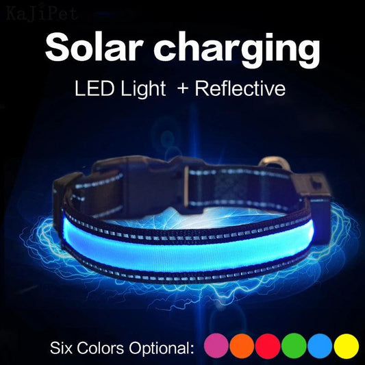 Solar Charging LED Dog Collar | Light-Up Dog Collar | whiskerwonderland