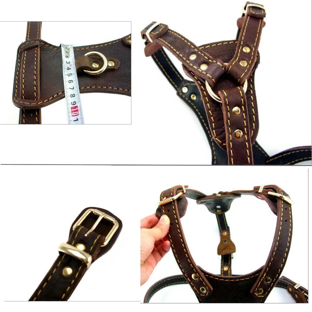 Dog Vest Harness - whiskerwonderland