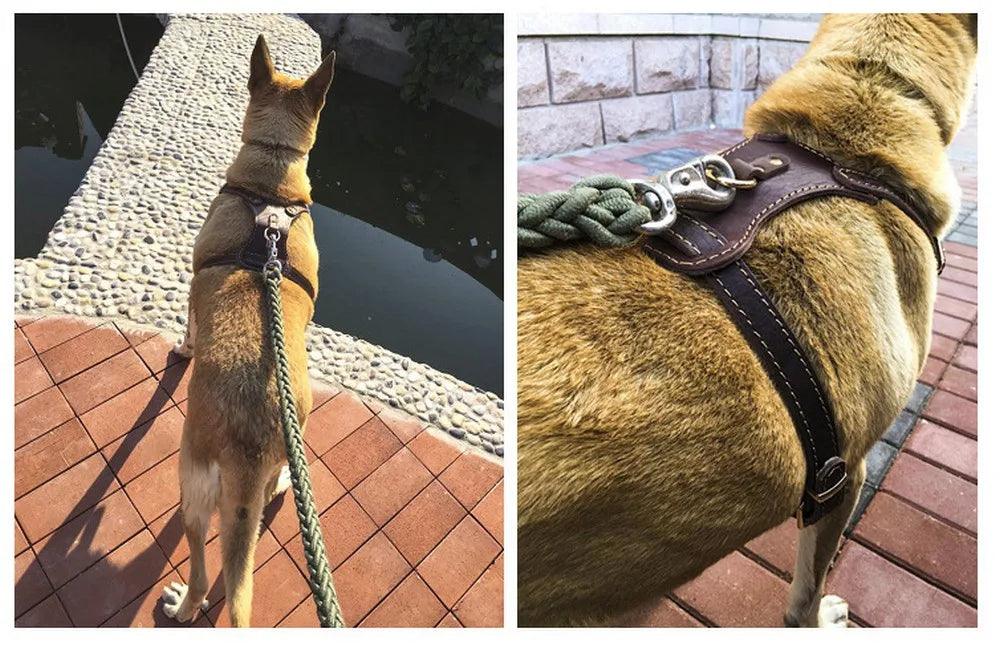 Dog Vest Harness - whiskerwonderland