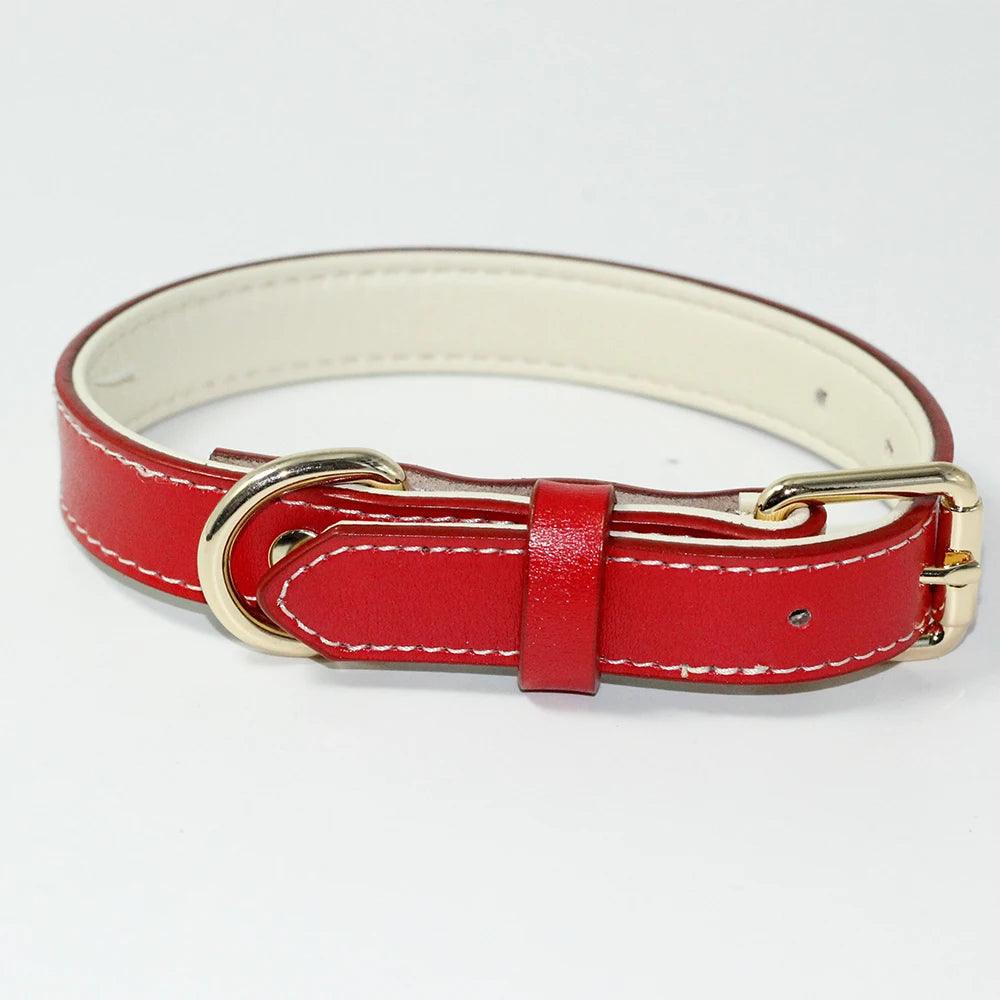 Dog Collar - whiskerwonderland