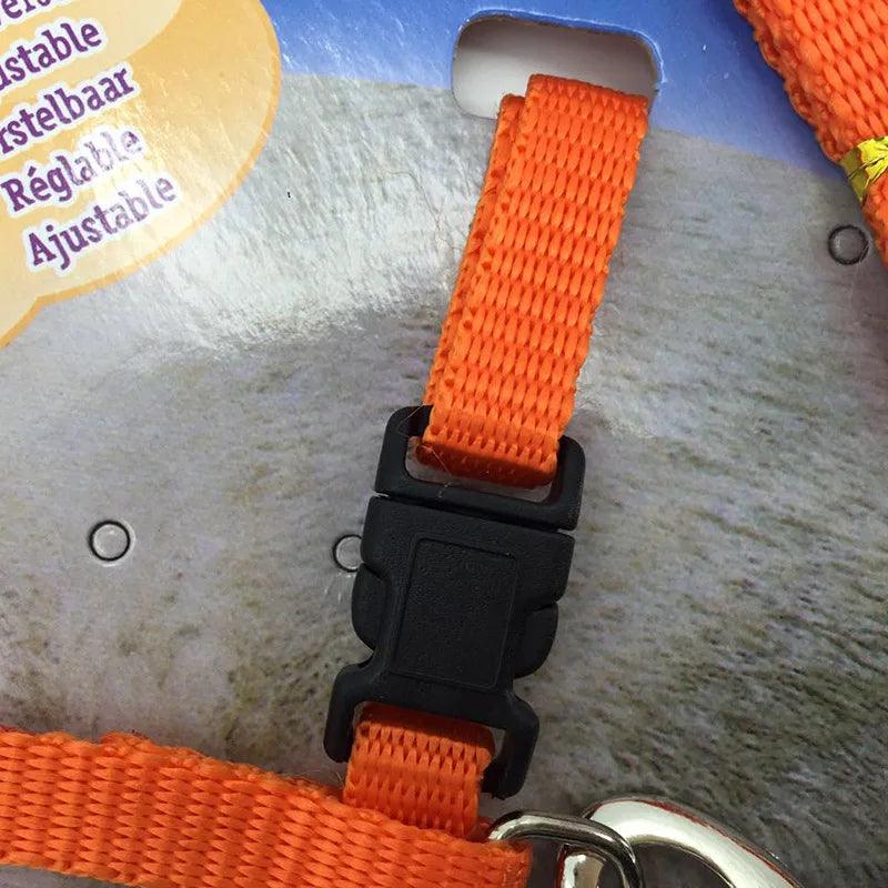 Puppy Kitten Harness - whiskerwonderland