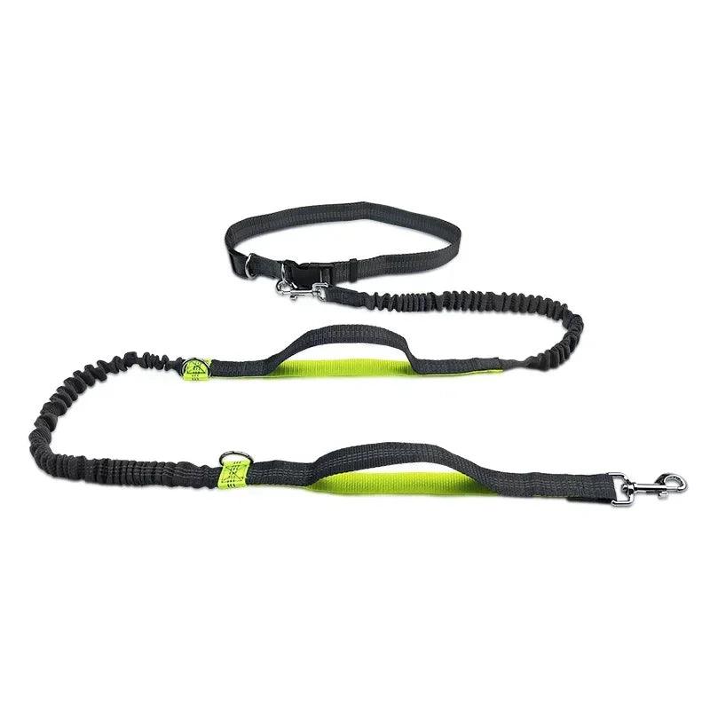 Dog Leash for Running - whiskerwonderland