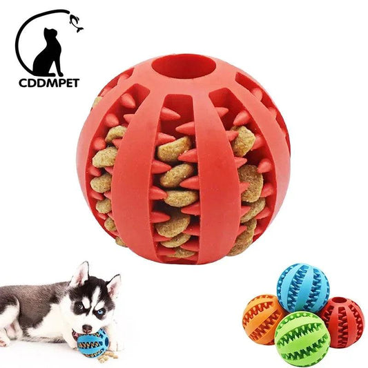 Dog Ball Toys - whiskerwonderland