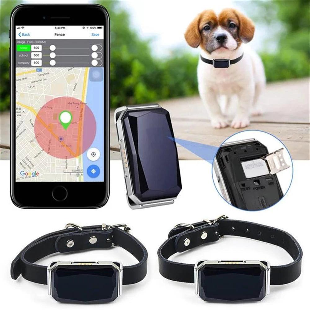 Multifunctional Pet Smart G12 GPS - whiskerwonderland