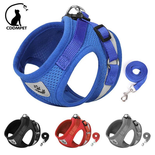 Dog Harness and Leash - whiskerwonderland