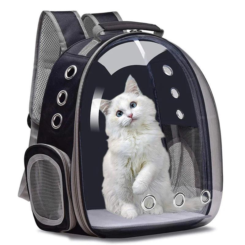 Travel Transparent Pet Cat Carrier Bag - whiskerwonderland