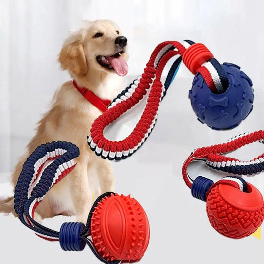 Pet Dog Toys - whiskerwonderland