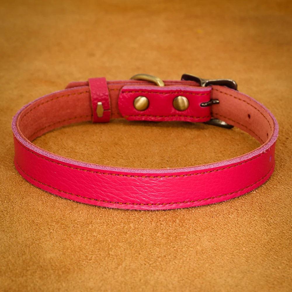 Dog Collar - whiskerwonderland