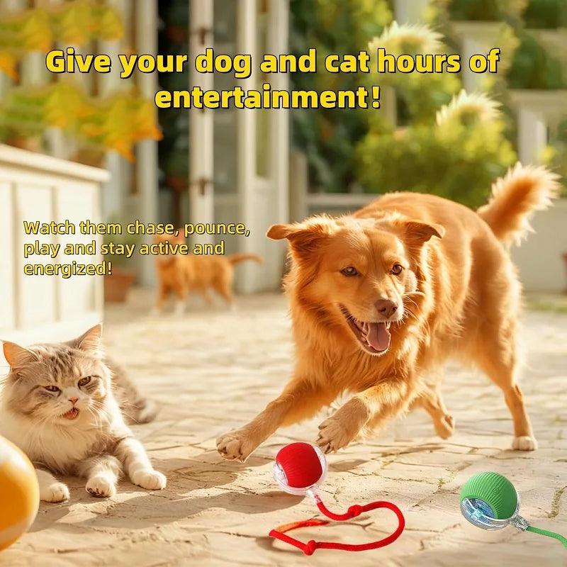 Smart Ball For Cats - whiskerwonderland