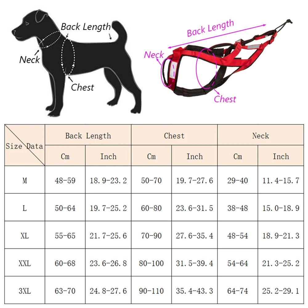 High Quality Big Dog Sledge Harness Skiing Running - whiskerwonderland