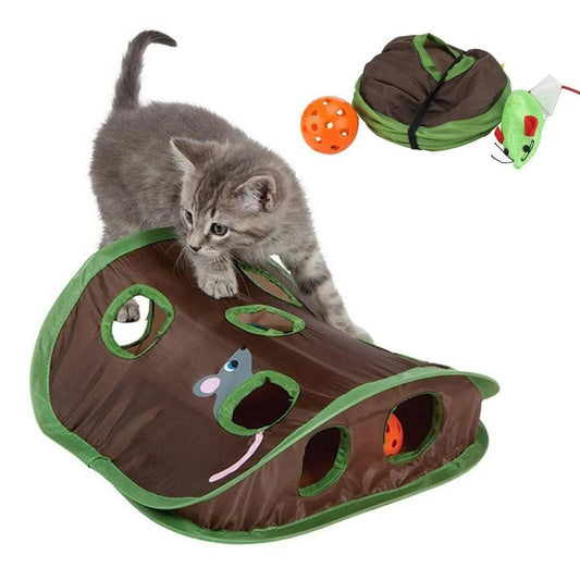 Cute Pet Cat Interactive - whiskerwonderland