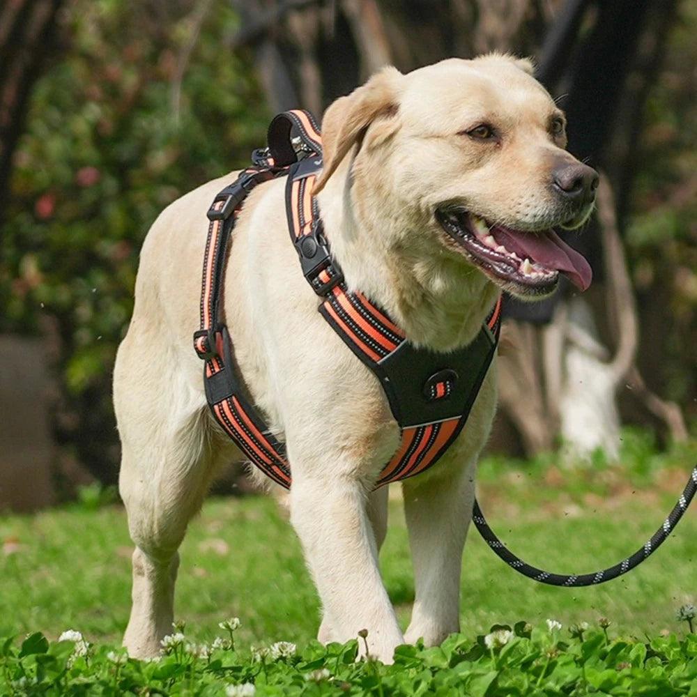 Dog Harness - whiskerwonderland