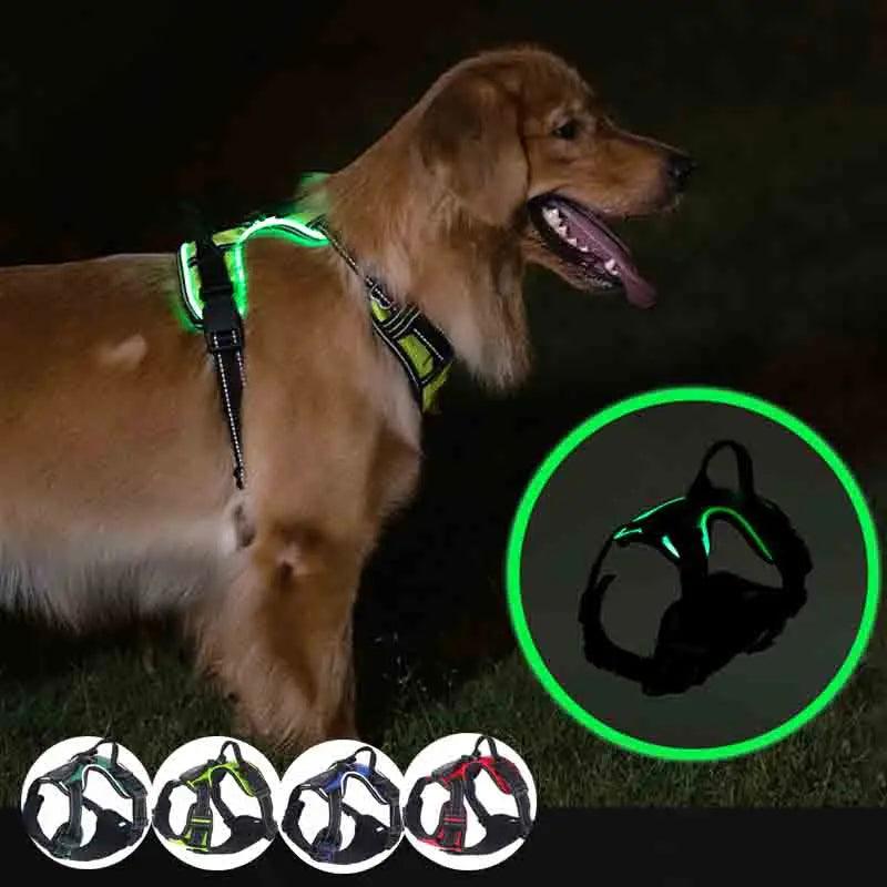 Adjustable Dog Harness - whiskerwonderland