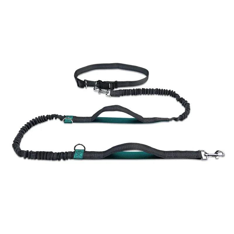 Dog Leash for Running - whiskerwonderland