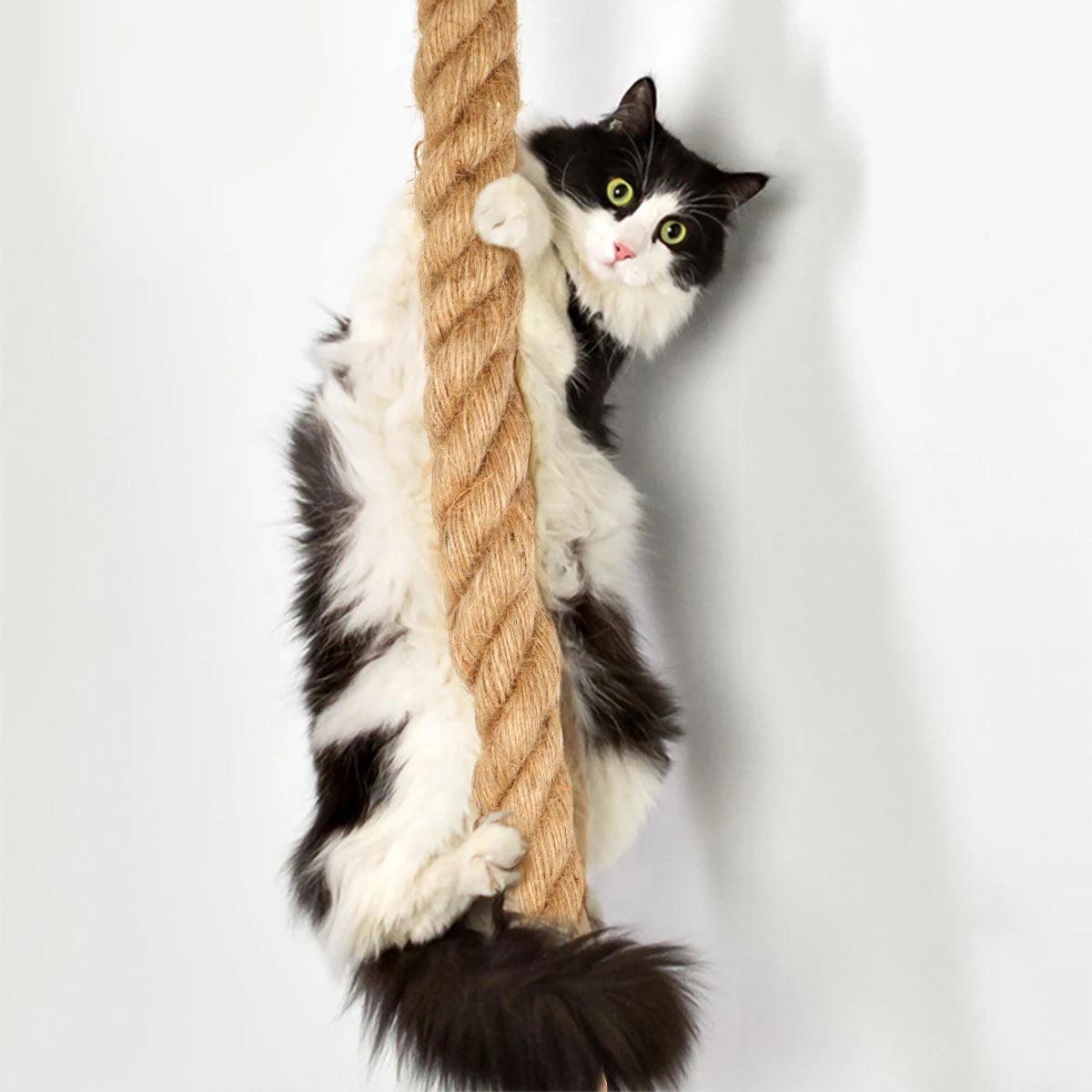 Wall Mounted Cat Tree - whiskerwonderland