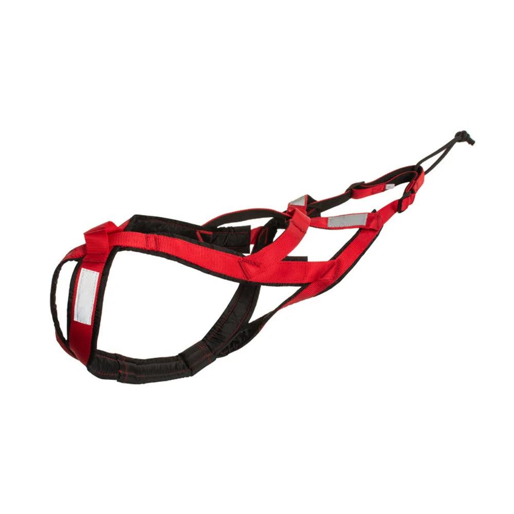 High Quality Big Dog Sledge Harness Skiing Running - whiskerwonderland