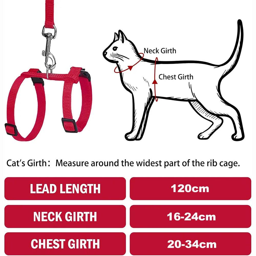 Cat Harness - whiskerwonderland