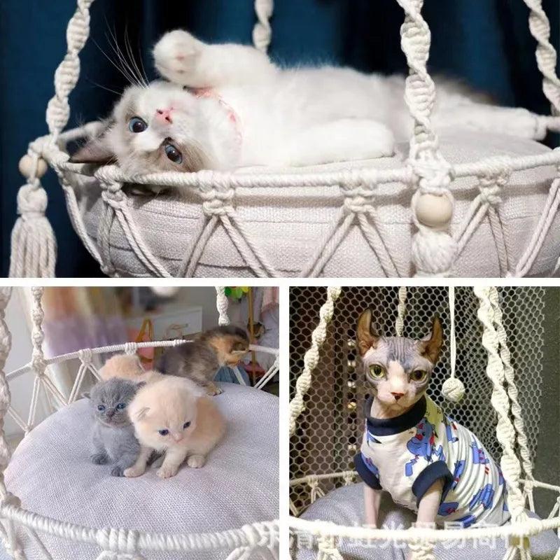 Pet Hammock Cat - whiskerwonderland