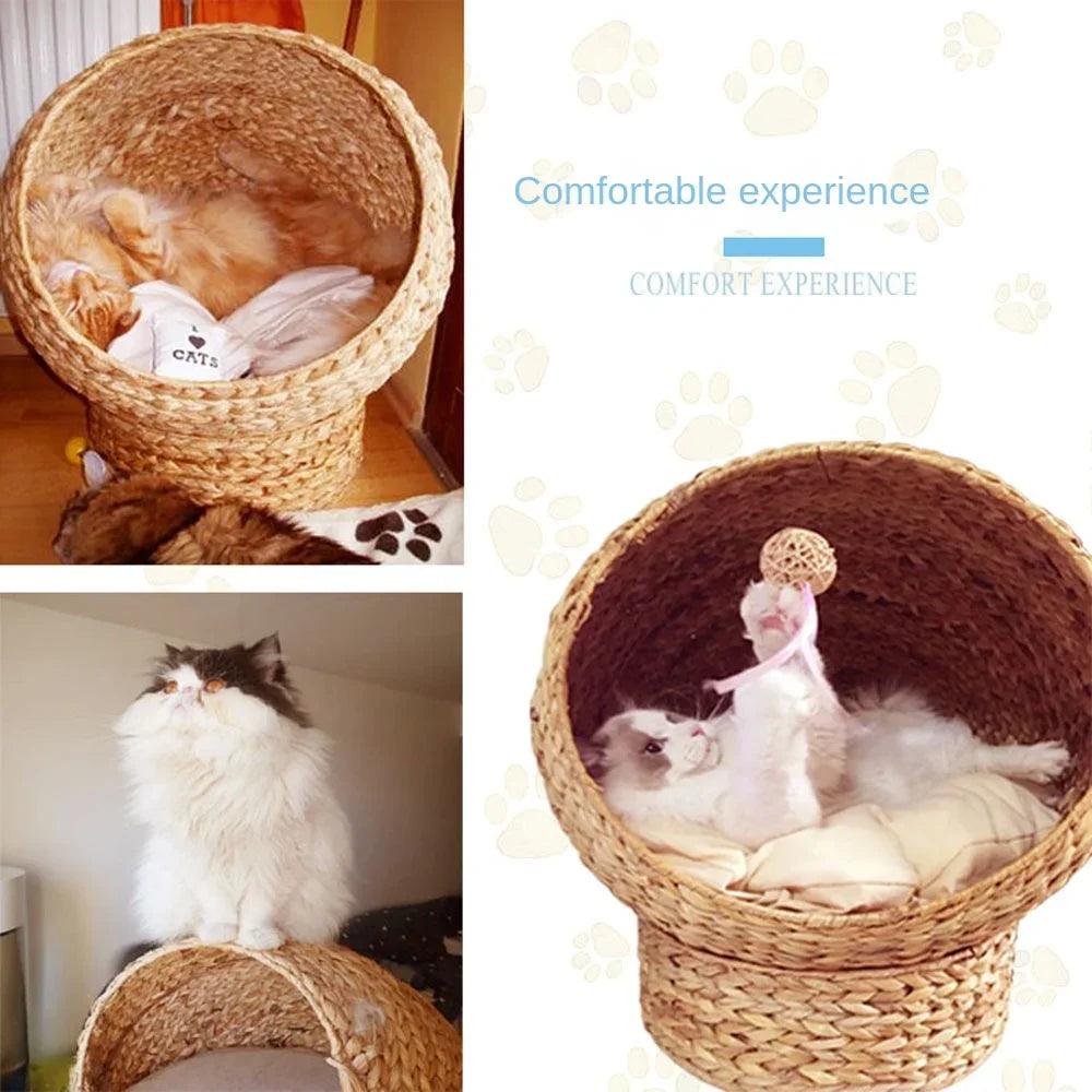 Cat bed cat tree - whiskerwonderland