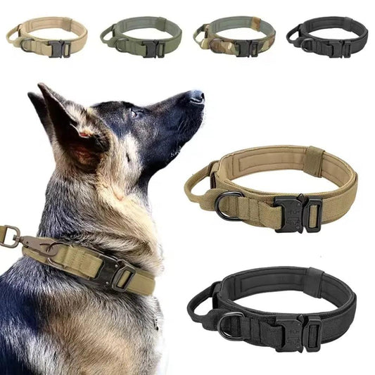 Dog Collar Military | Collar Tactical Dogs | whiskerwonderland