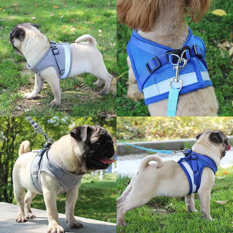 Dog Harness and Leash - whiskerwonderland