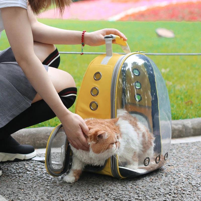 Travel Transparent Pet Cat Carrier Bag - whiskerwonderland