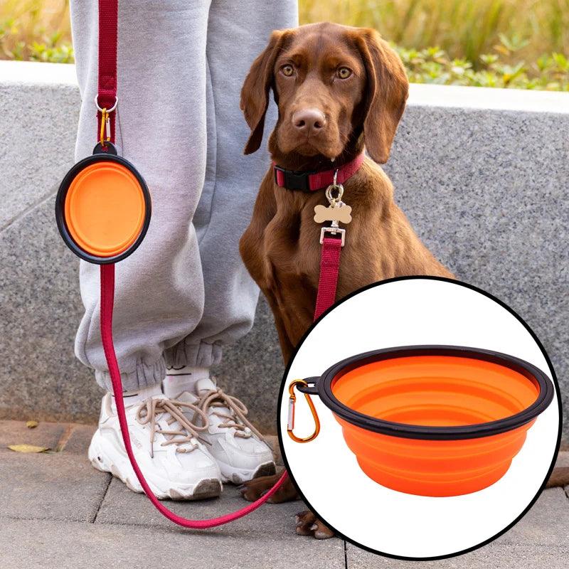 Travel Portable Feeding Bowls Dog - whiskerwonderland