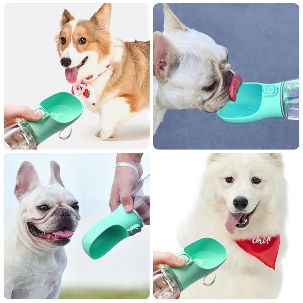 Portable Dog Water Bottle For Dogs - whiskerwonderland