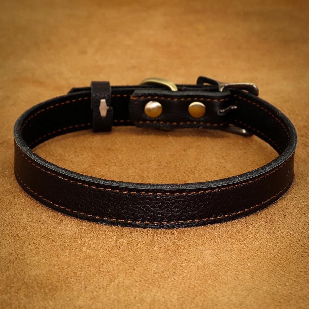 Dog Collar - whiskerwonderland