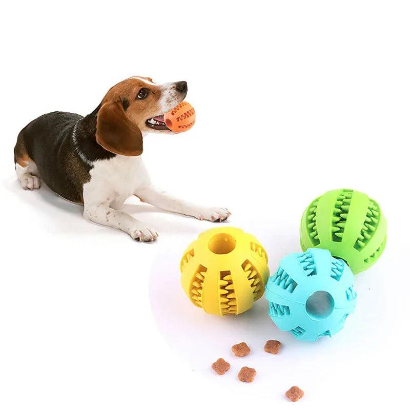 Dog Ball Toys - whiskerwonderland