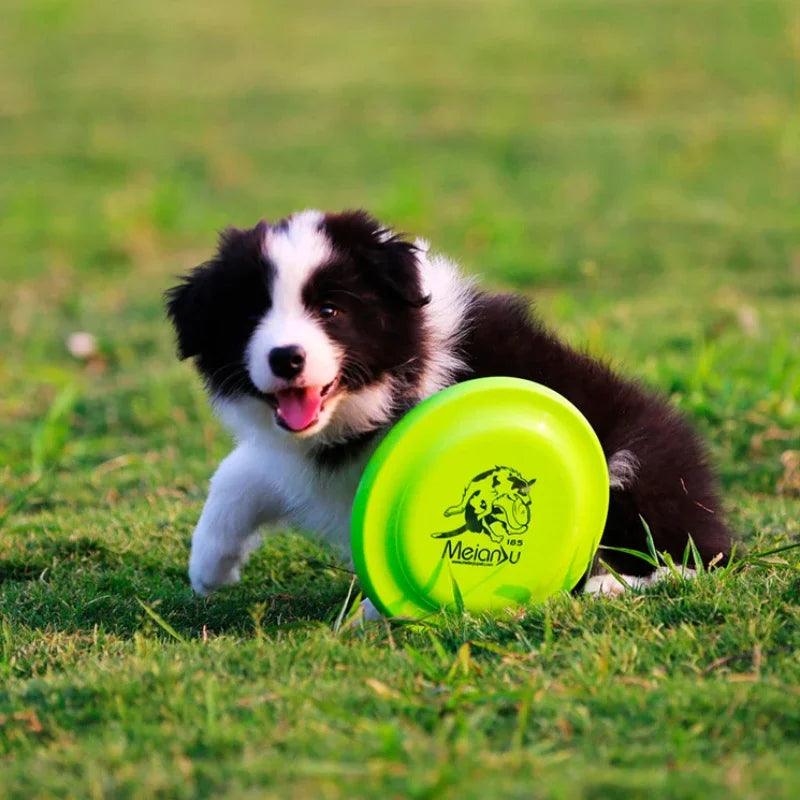 Dog Toy Flying Disc | Durable Frisbee Toy | whiskerwonderland