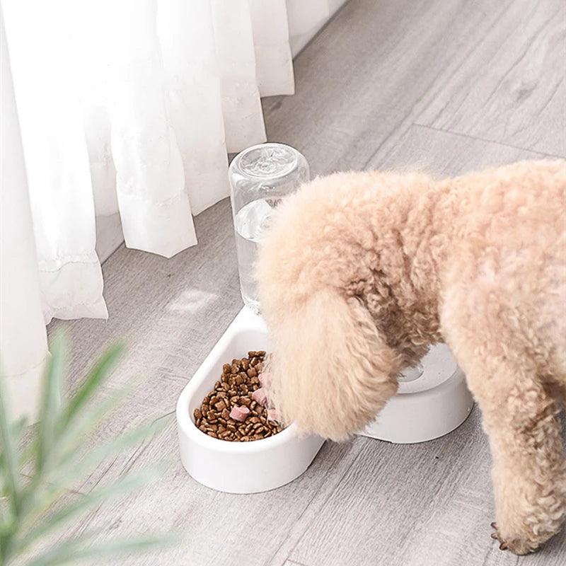 Pet Automatic Feeder - whiskerwonderland