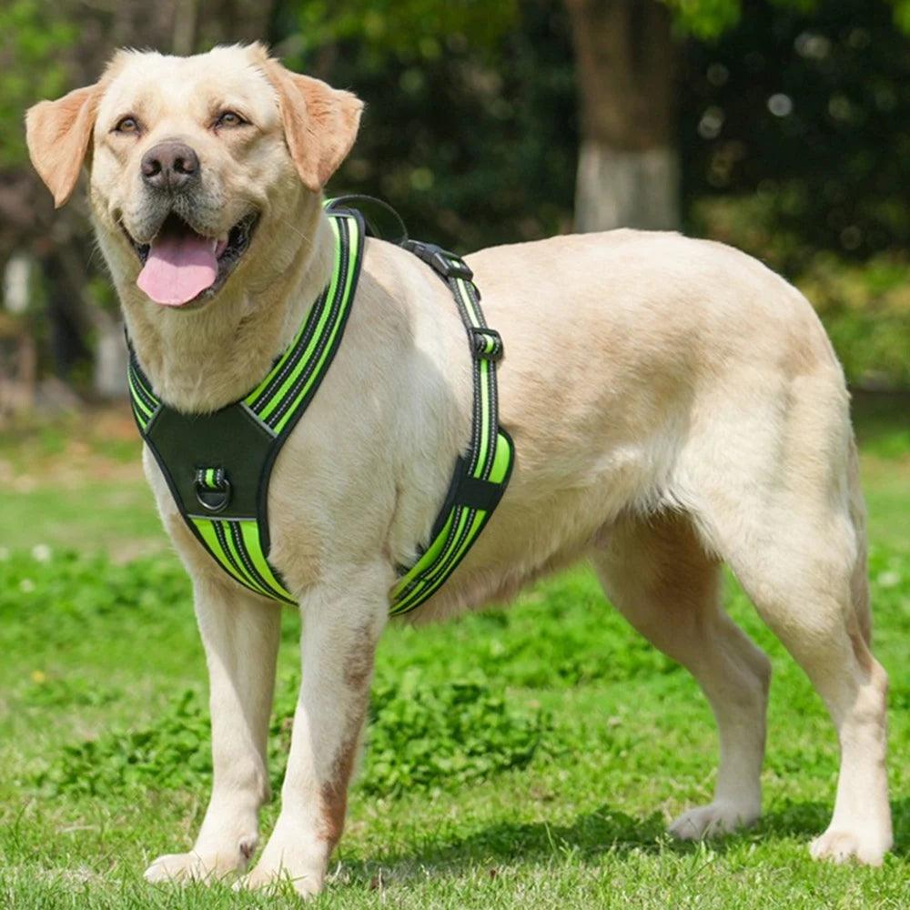 Dog Harness - whiskerwonderland