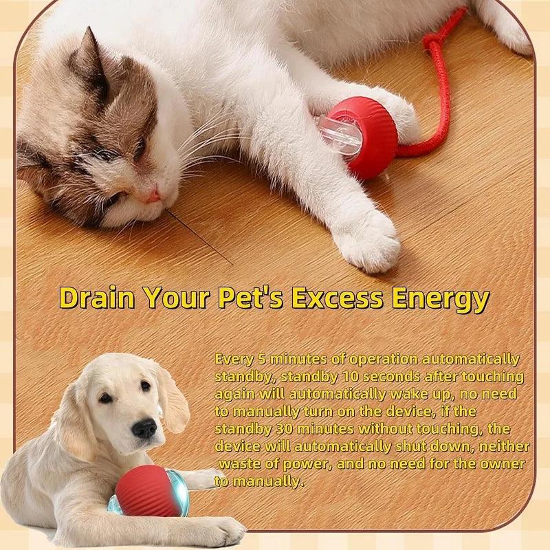 Smart Ball For Cats - whiskerwonderland