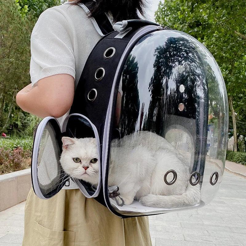 Travel Transparent Pet Cat Carrier Bag - whiskerwonderland