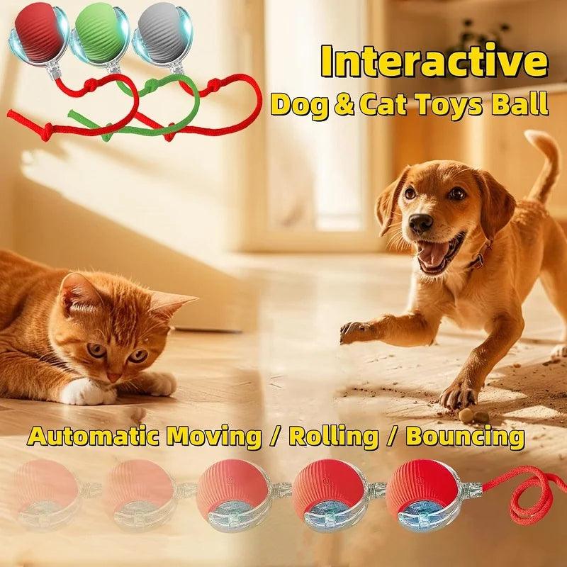 Smart Ball For Cats - whiskerwonderland