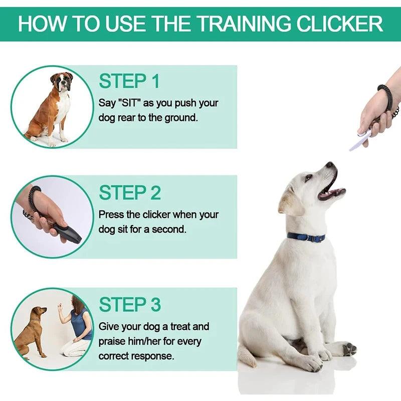 Professional Dog Whistle Training - whiskerwonderland