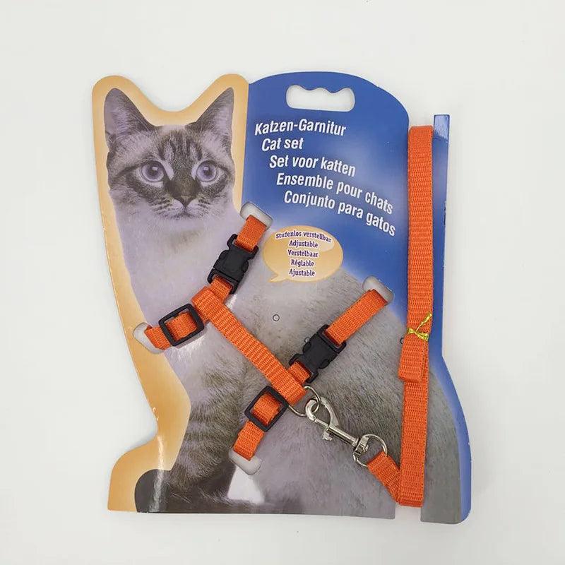 Puppy Kitten Harness - whiskerwonderland