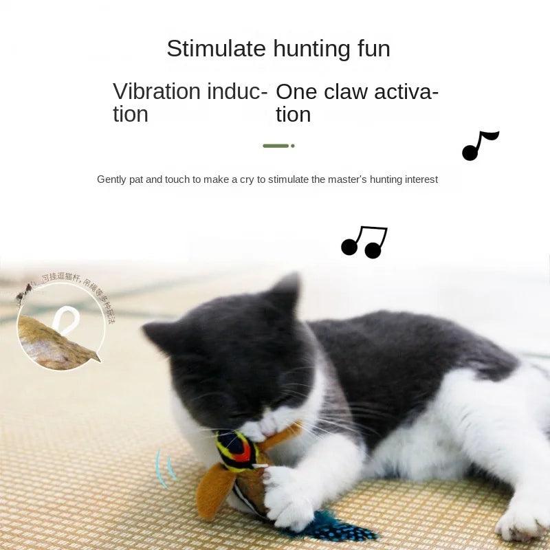 Cats Stimulating Toy | Bird Kitten Toy | whiskerwonderland