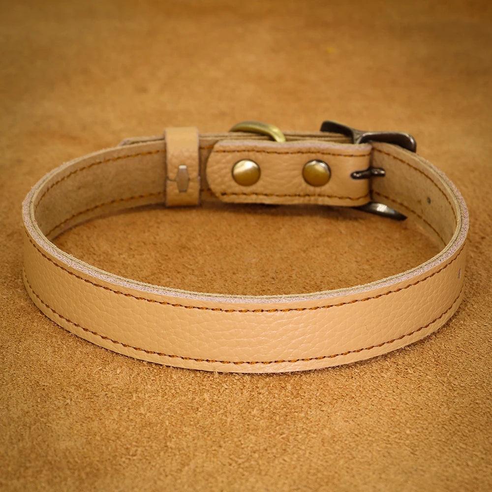 Dog Collar - whiskerwonderland