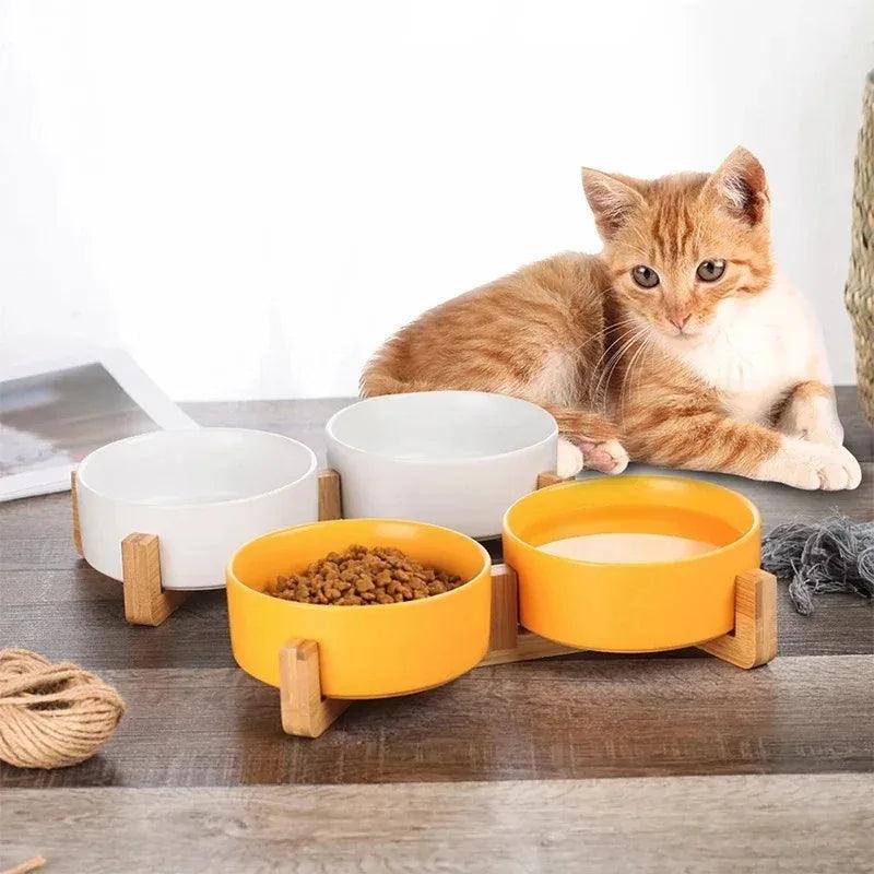 Ceramic Pet Bowl - whiskerwonderland