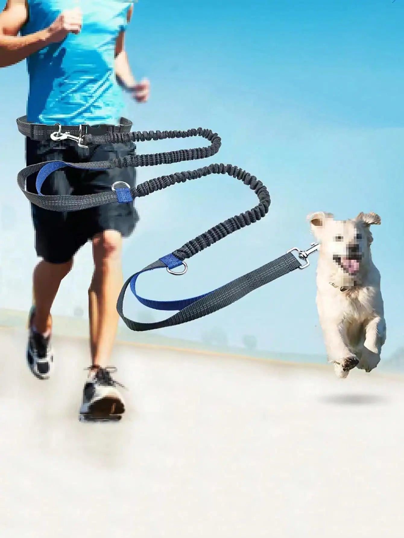 elastic running for outdoor sports dog - whiskerwonderland