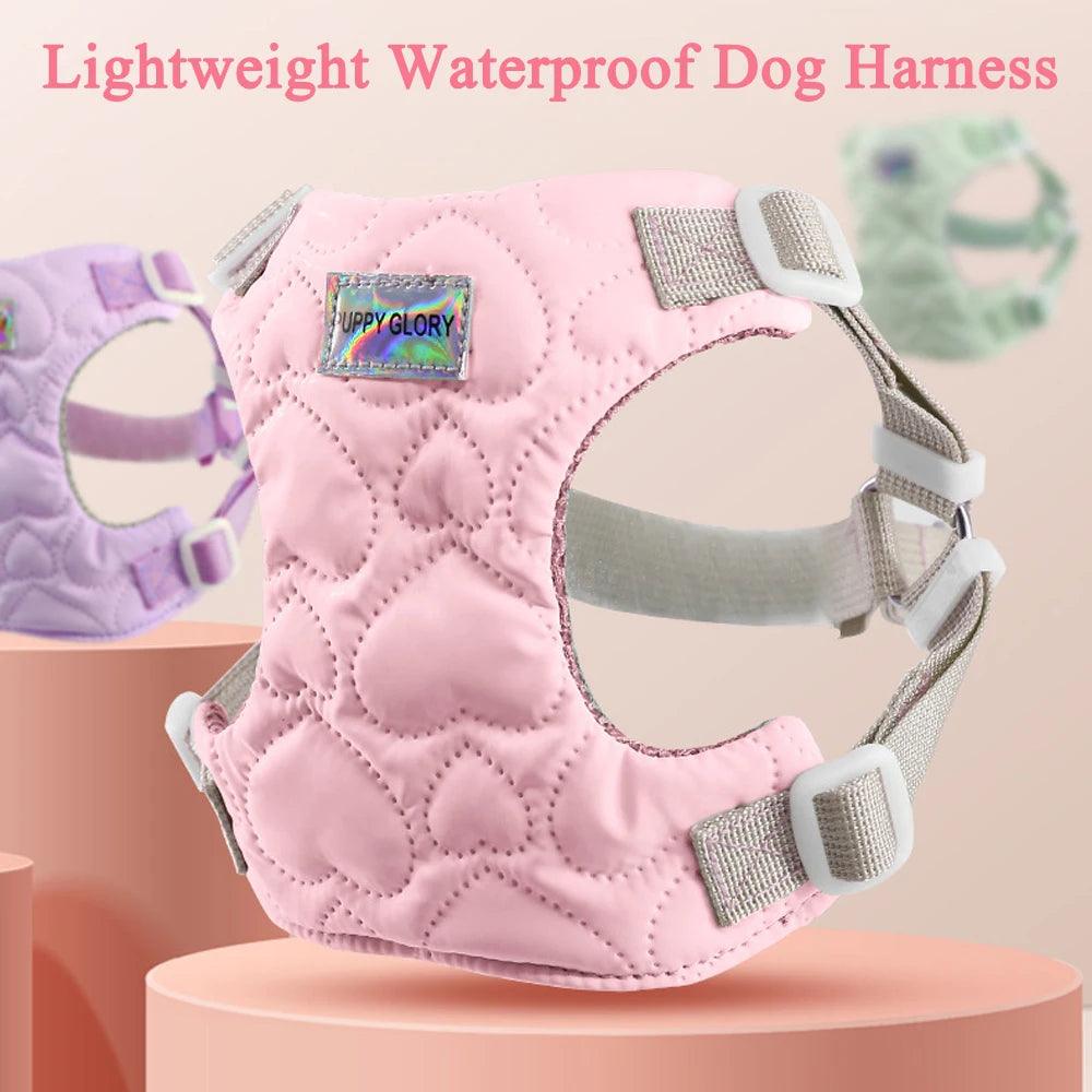 Dog Harness - whiskerwonderland