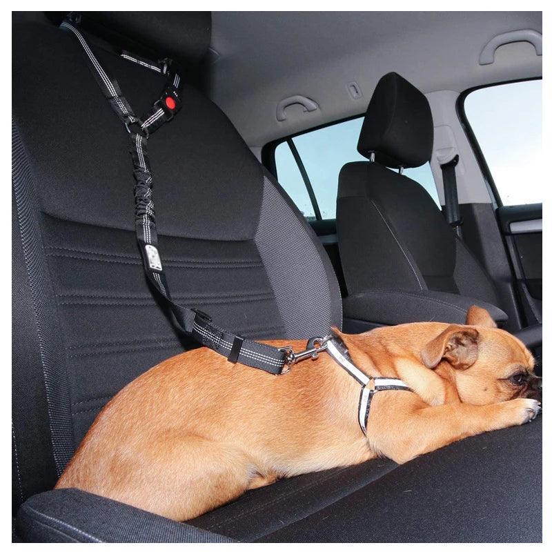 Dog Harness Leash Pet Car - whiskerwonderland