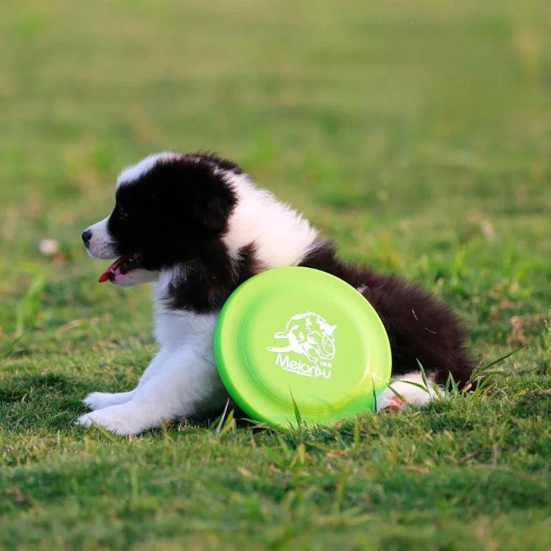 Dog Toy Flying Disc | Durable Frisbee Toy | whiskerwonderland