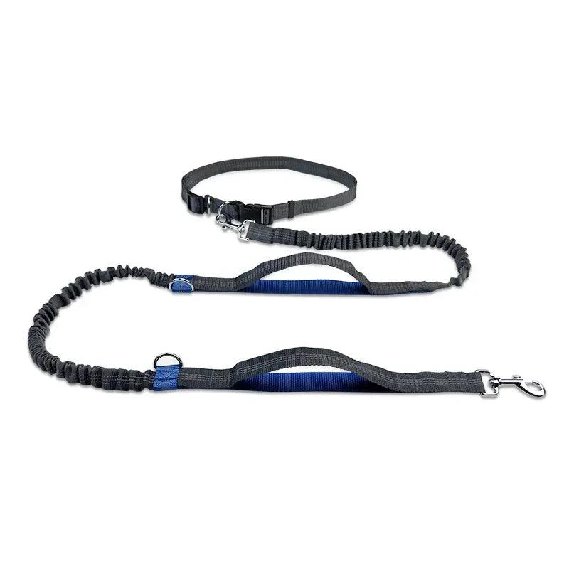 Dog Leash for Running - whiskerwonderland