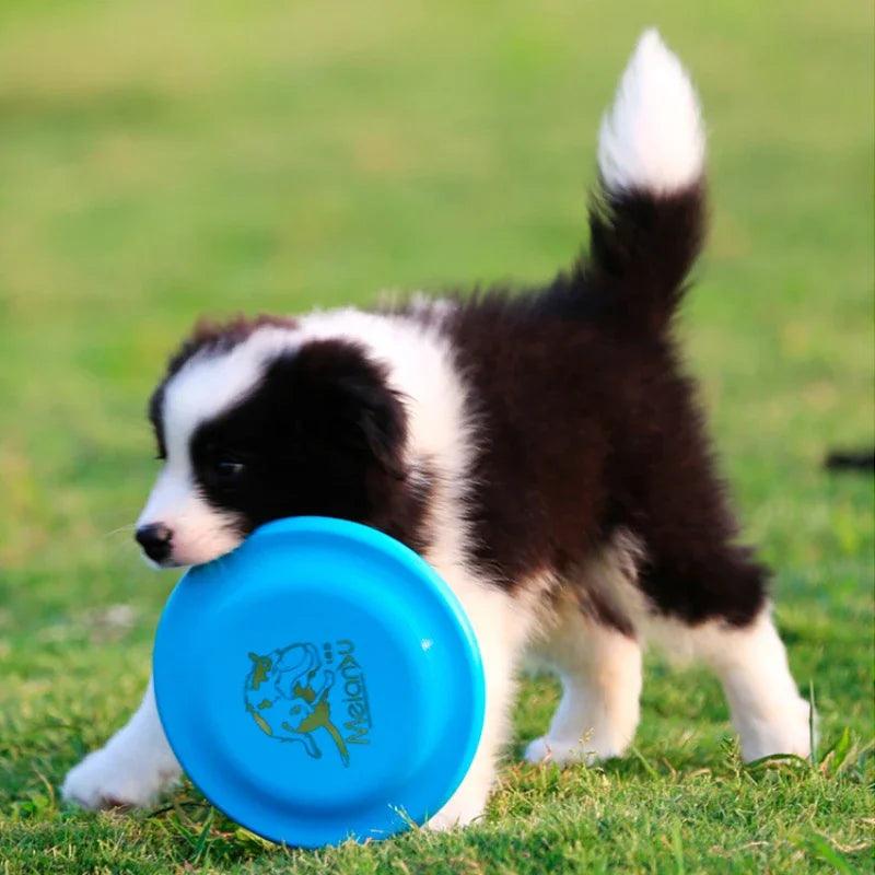 Dog Toy Flying Discs - whiskerwonderland